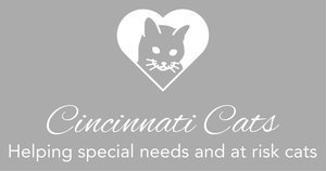Cincinnati Cats Logo