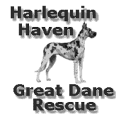 Harlequin Haven Great Dane Rescue Logo